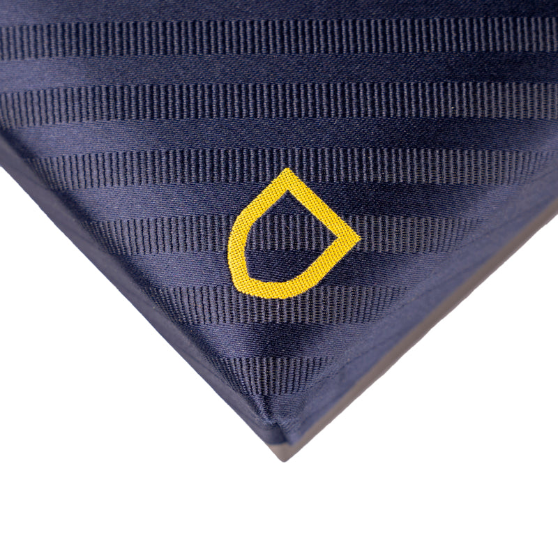 Cravatta blu con logo scudo giallo parma calcio